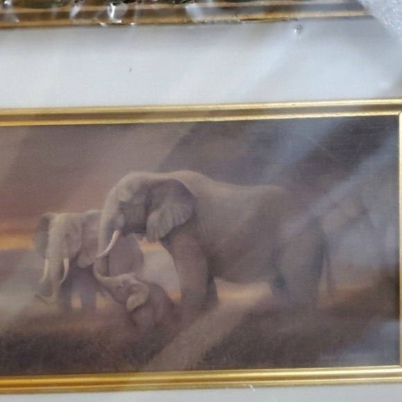 Personal Preference Framed Art Featuring Elephants In The Wild (NEW) - Picture 3 of 10